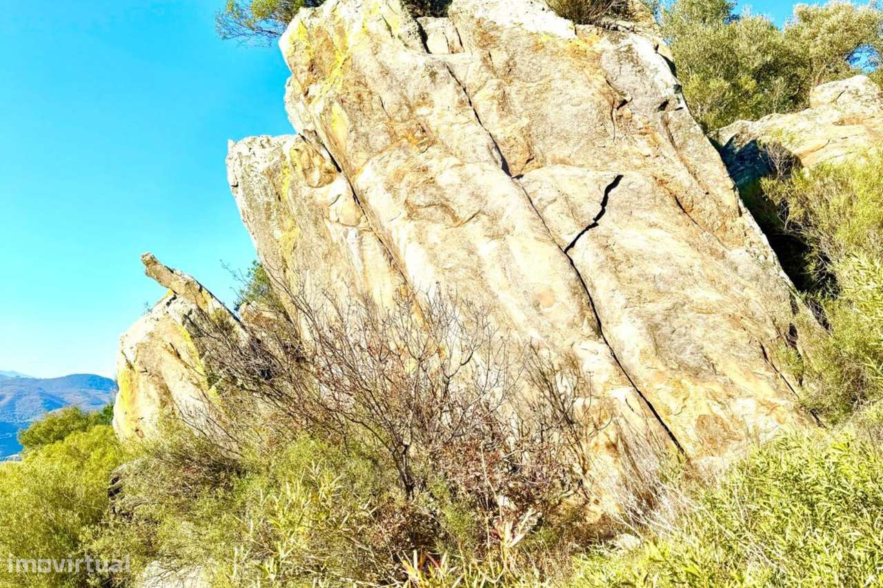 Fraga da Moira – Propriedade Única no Douro - Grande imagem: 5/7