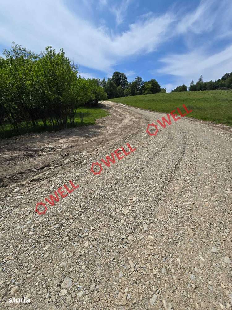 De vânzare teren intravilan în localitatea Scrădoasă! - Imagine principală: 3/11