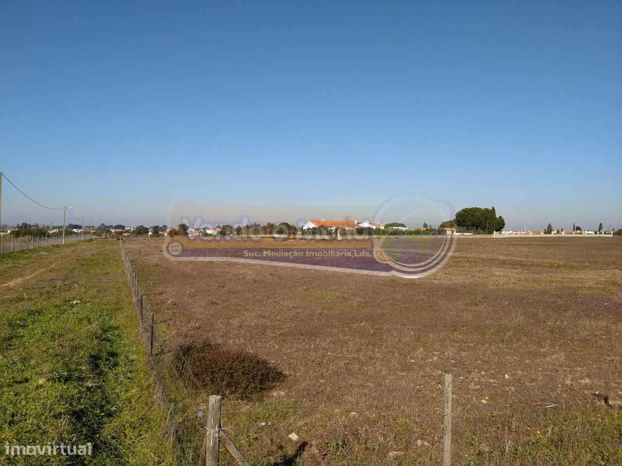 Terreno em Foros de Salvaterra (F615) - Grande imagem: 5/12