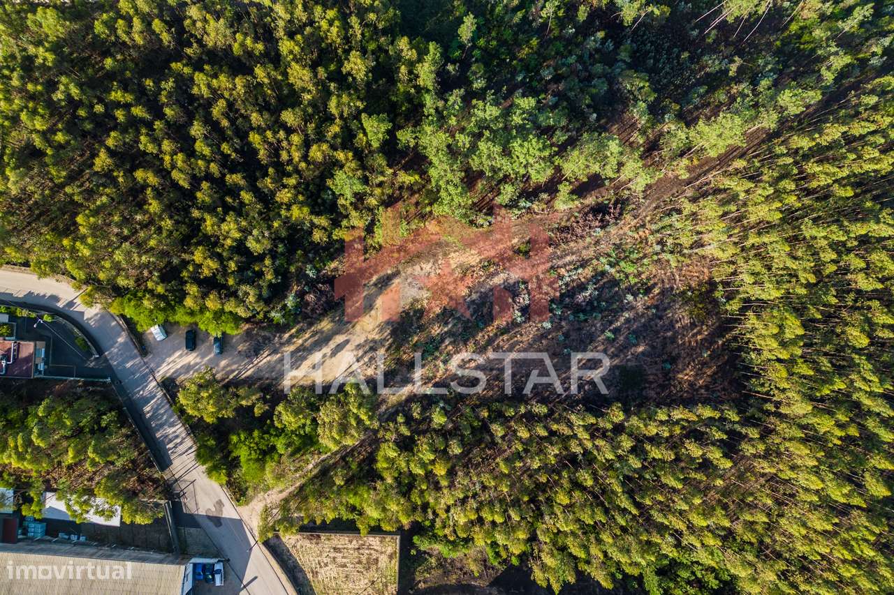 Terreno Industrial / Área Total 3.610m2 / Índice de 0.7 / Boa Vista - Grande imagem: 4/32