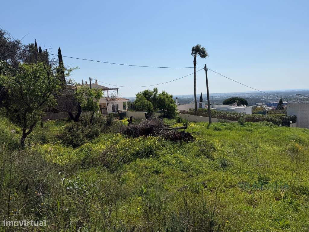 Terreno com Projeto Aprovado e Vista Mar - Grande imagem: 5/10