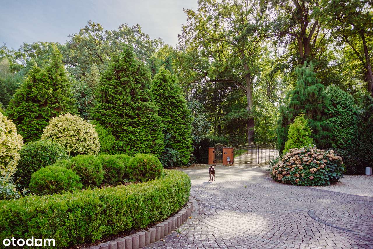 Wyjątkowy dom z pięknym ogrodem – Ruda Milicka | 280 m²-17