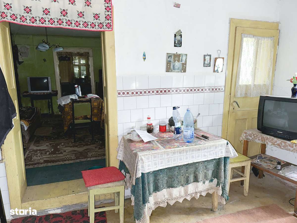 Casă DE VANZARE in Crăiești  (Comuna Adamuș) - Imagine principală: 4/20