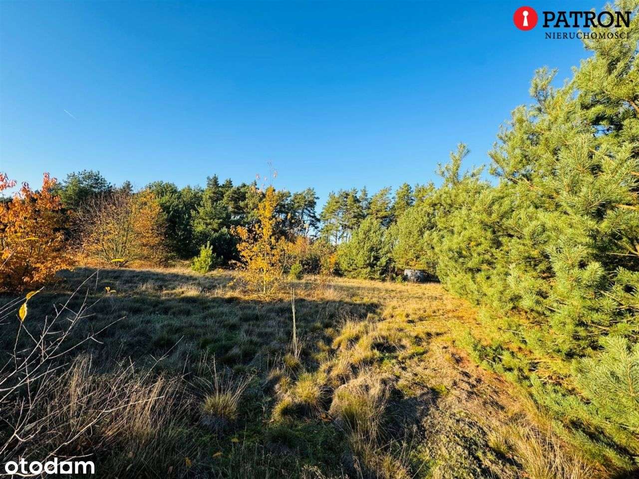 Sprzedam działkę o pow. 2 438 m² w Rurzycy-10