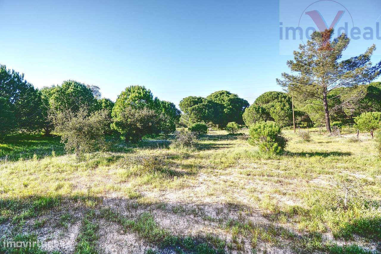 Quinta em Melides-21