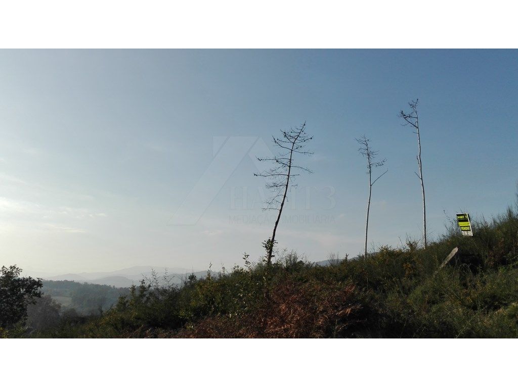 Terreno florestal em Santa Cruz do Lima