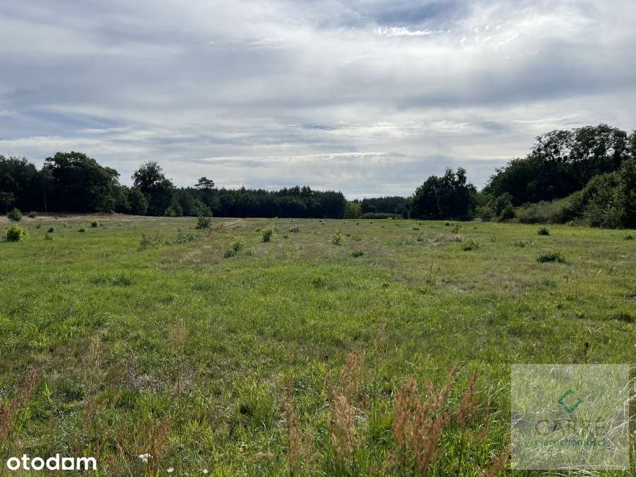 Uniemyśl działki budowlane.-4