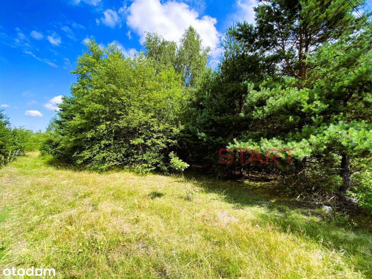 Zboiska – duża działka budowlana, 6100 m². Okazja! - Pełny obrazek: 4/16