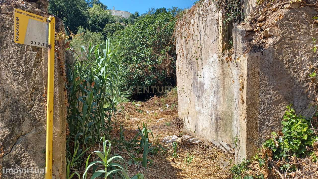 Vendo Quinta em Coimbra-26