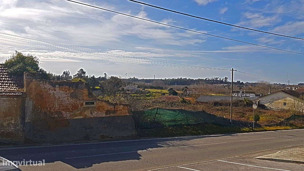 Quinta na Bairrada - Grande imagem: 2/22