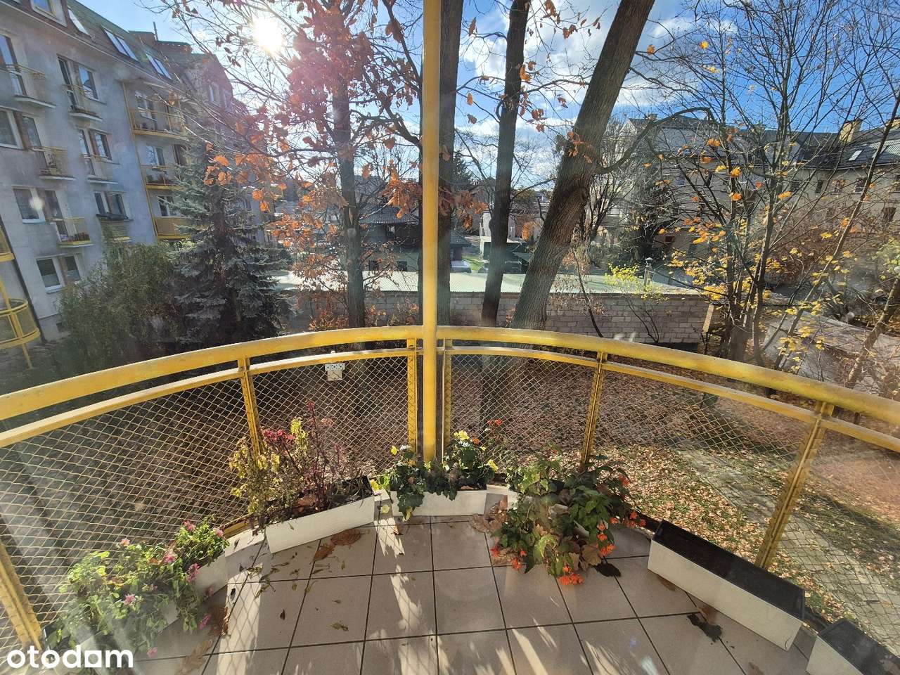 Przytulne 3 pokoje 65m2 na 1 piętrze, blok z 2000r ul.Żeromskiego - Pełny obrazek: 4/16