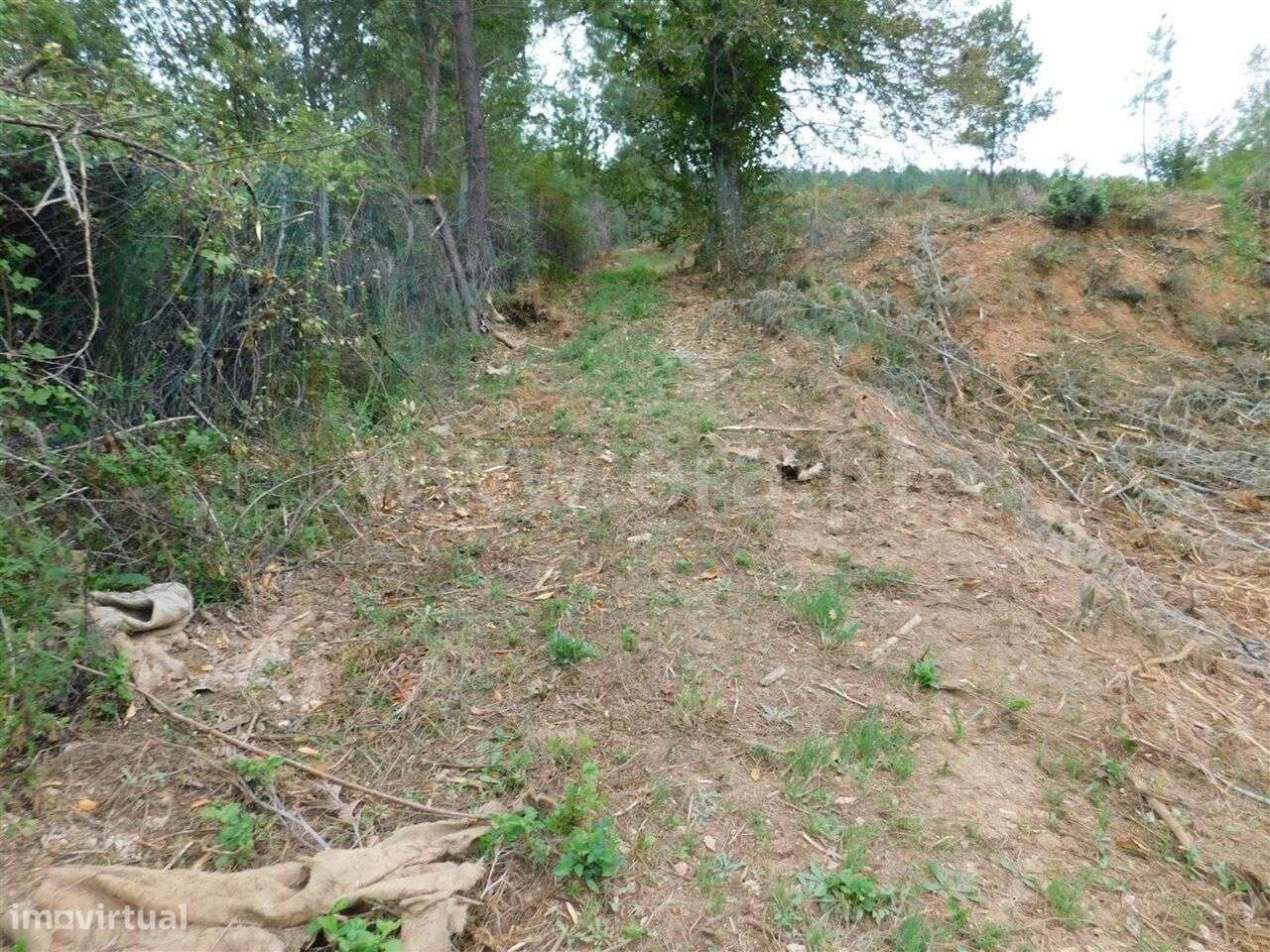 Terreno Rústico / Fundão, Alcaide - Grande imagem: 4/4