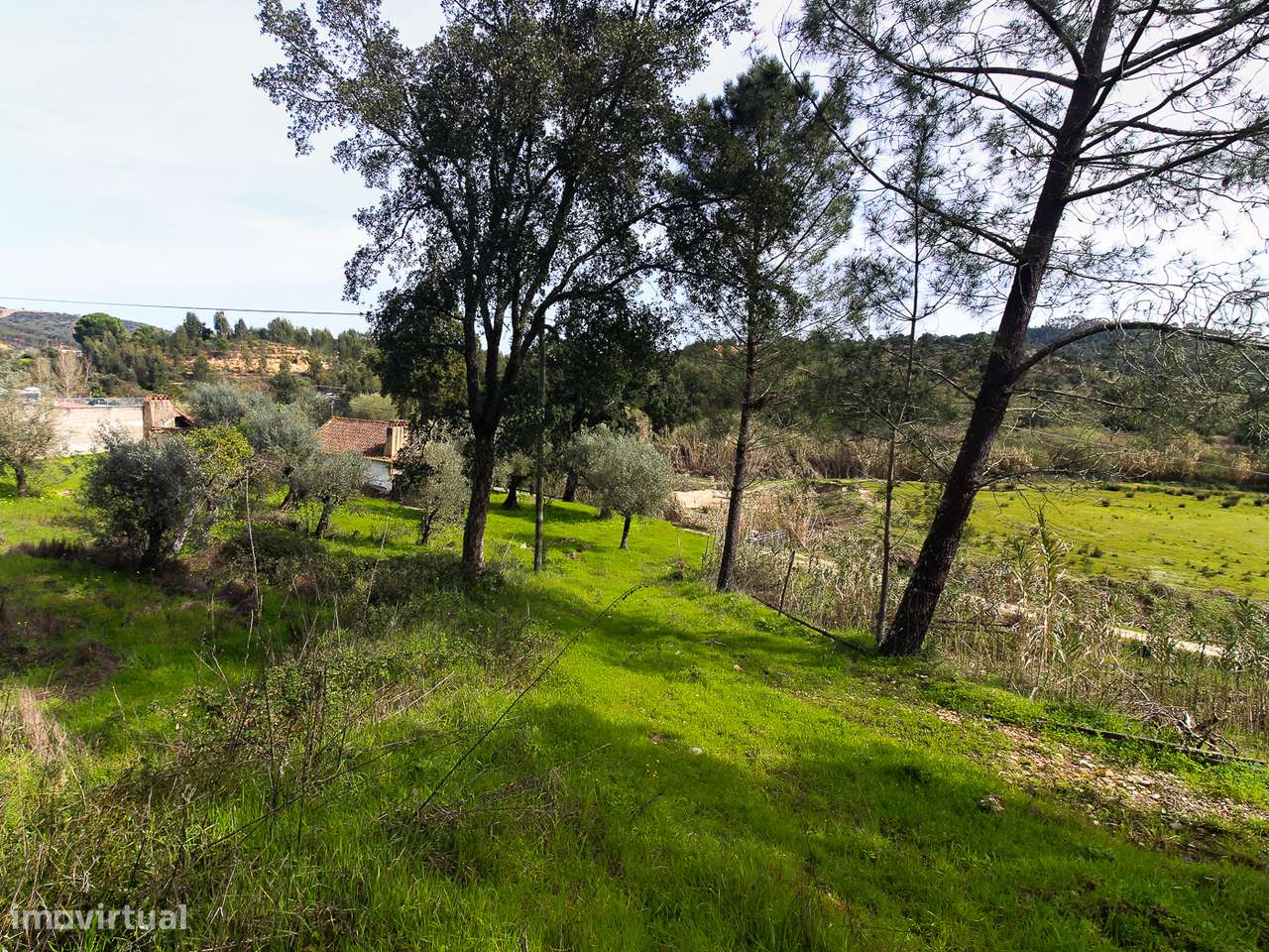 Terreno com cerca de 1 Hectare-9