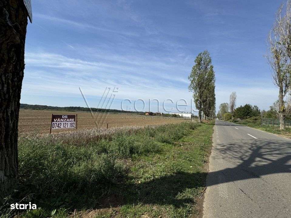 0% comision Teren intravilan – Ciolpani – Izvorani | 1.300 mp-9