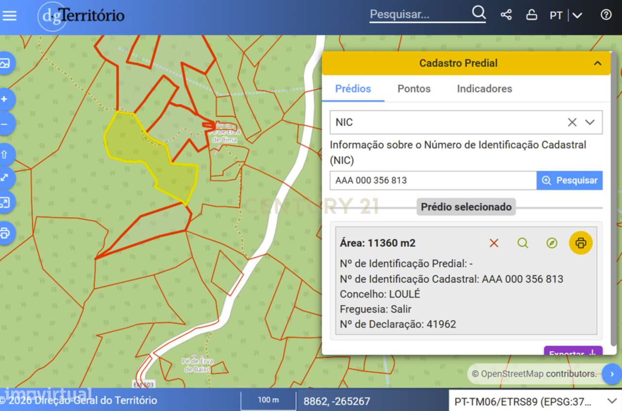 Terreno em Pé de Erva, com Ruína e Potencial de Construção, a 10 min-13