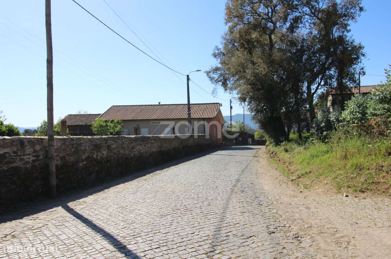 Terreno com 2000m², cenário ideal para a casa dos sonhos em Lama, B... - Grande imagem: 4/22
