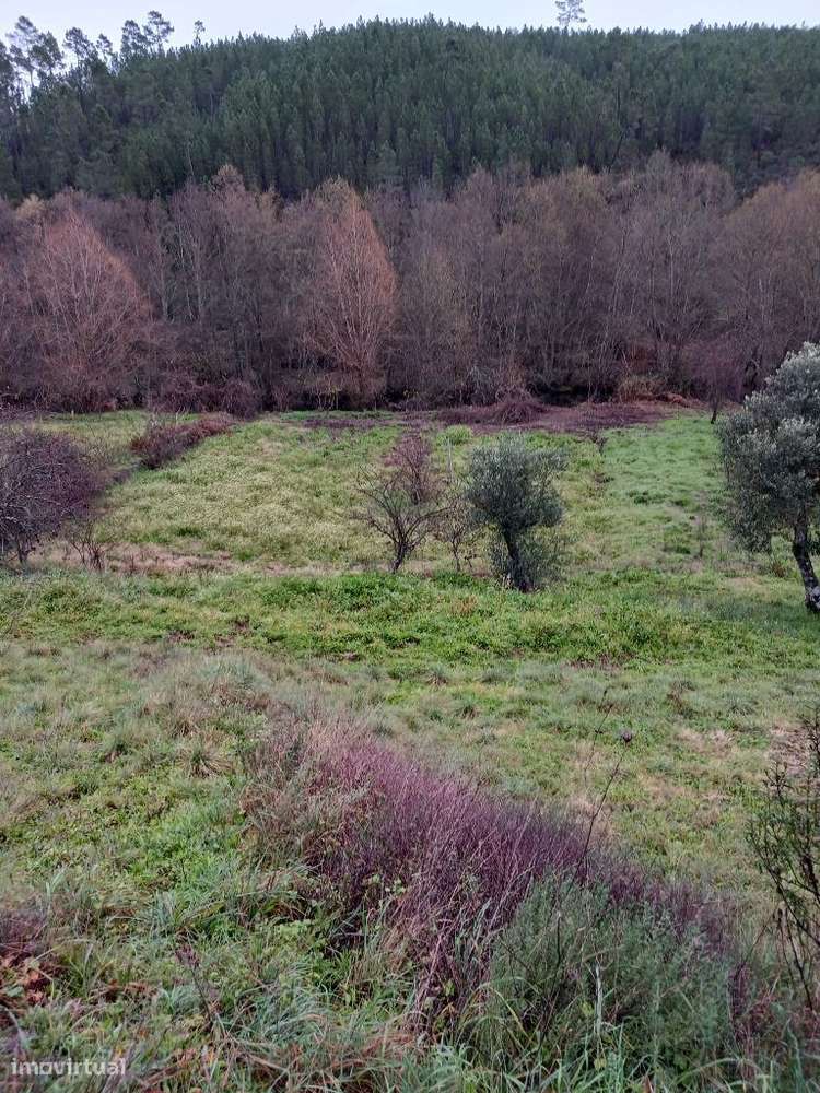 Quintinha - Grande imagem: 4/4