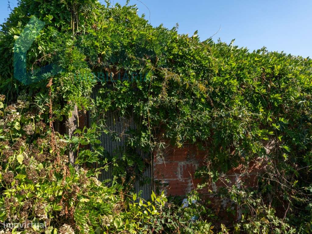 Moradia Térrea para Restauro | Terreno de malha urbana com 9.004 m²-32