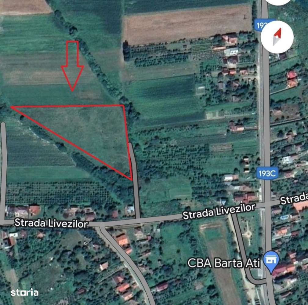 Teren Intravilan 13.600 mp in Viile Satu Mare - Imagine principală: 2/2