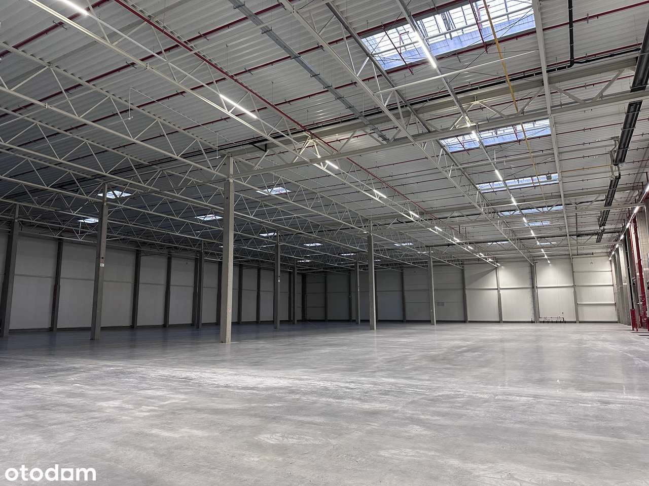 ✅ Magazyn do wynajęcia – Piotrków Trybunalski – Super Cena! ✅ - Pełny obrazek: 4/4