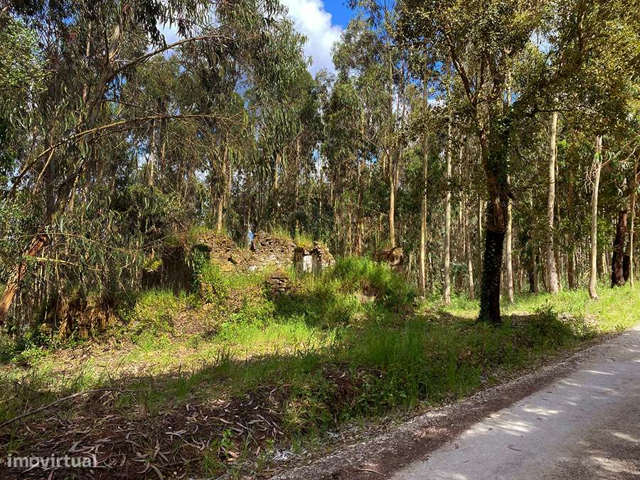 Grande terreno com habitação em ruína, 5 min. de C. da Rainha e Óbidos-9
