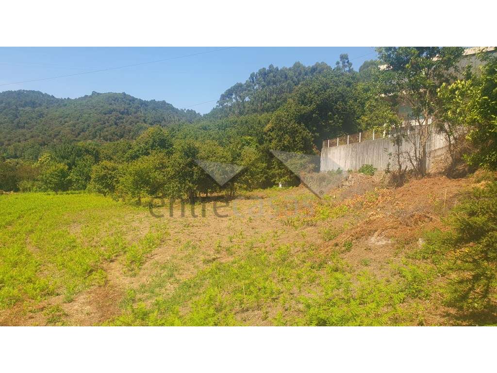 Terreno - Grande imagem: 5/8