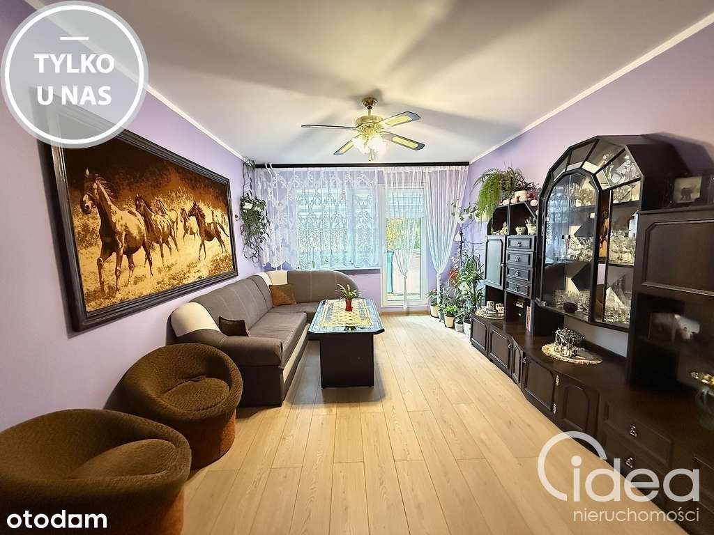 Podjuchy, 3 pokoje, cegła, balkon - Pełny obrazek: 1/7