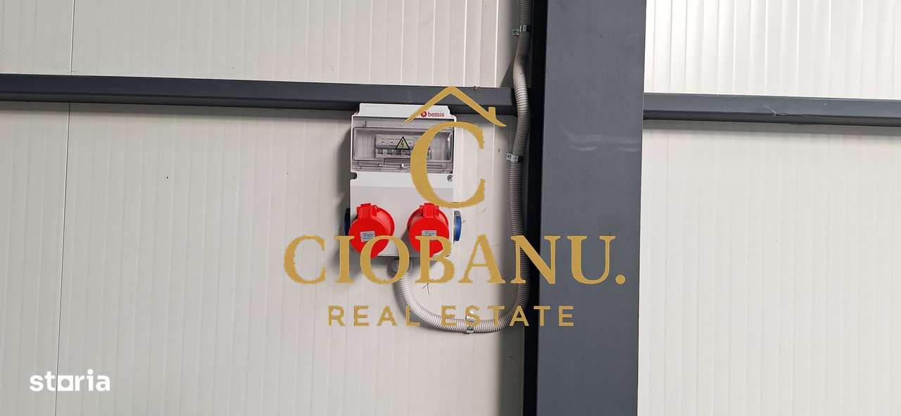 Hala de vanzare in Racari de Jos-8