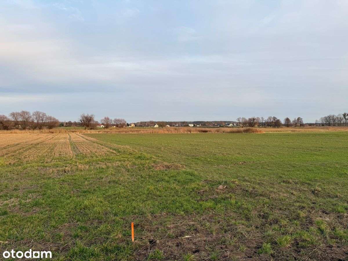Działki rolne na sprzedaż | bliskość rzeki-7