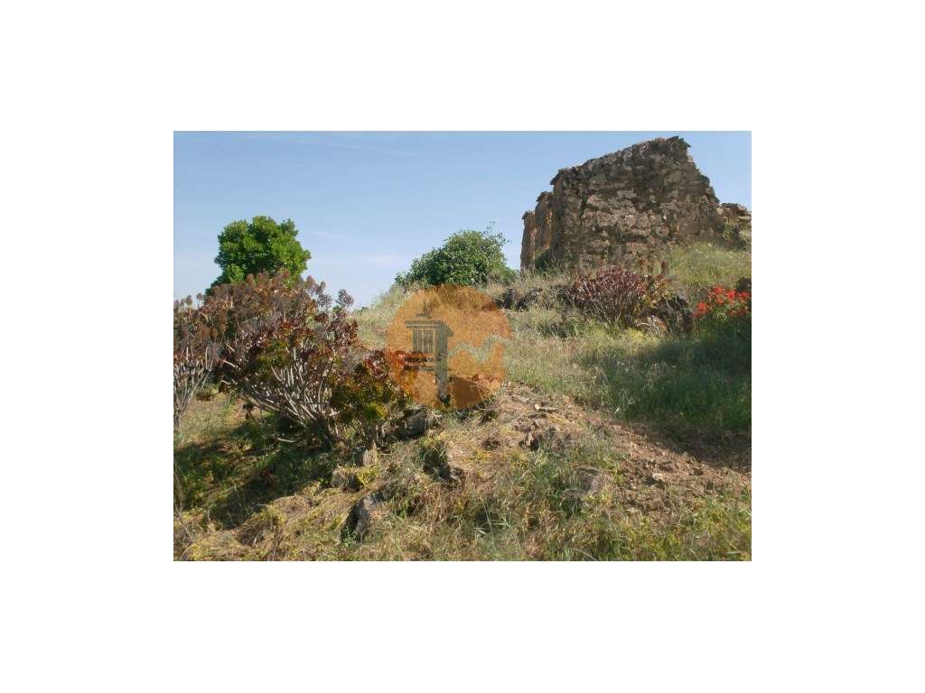 Terreno Misto com 99.760m2 - Grande imagem: 4/13