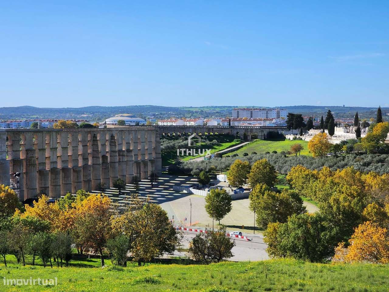 Olival tradicional sito na Calçadinha em Elvas - Portugal - Grande imagem: 5/15