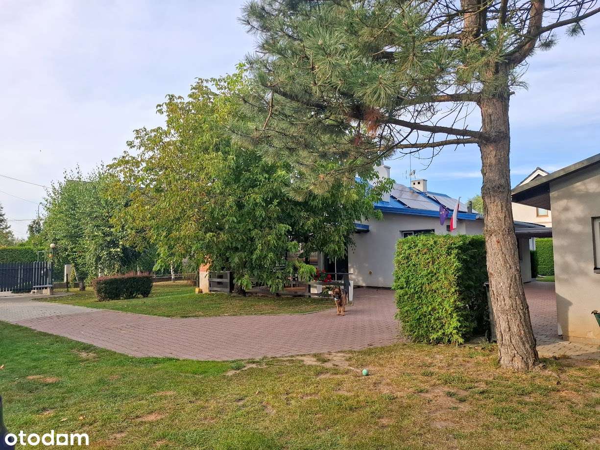 DOM parterowy energooszczędny + budynek usługowy Mielec Witosa 24-17