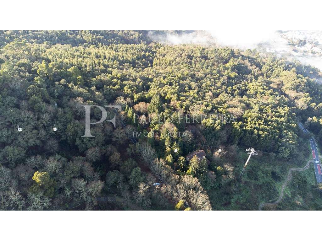 Quinta na Encosta da Penha - Grande imagem: 5/36