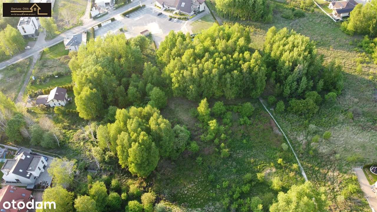 Bukszpanowa, wydane warunki zabudowy - Pełny obrazek: 4/15