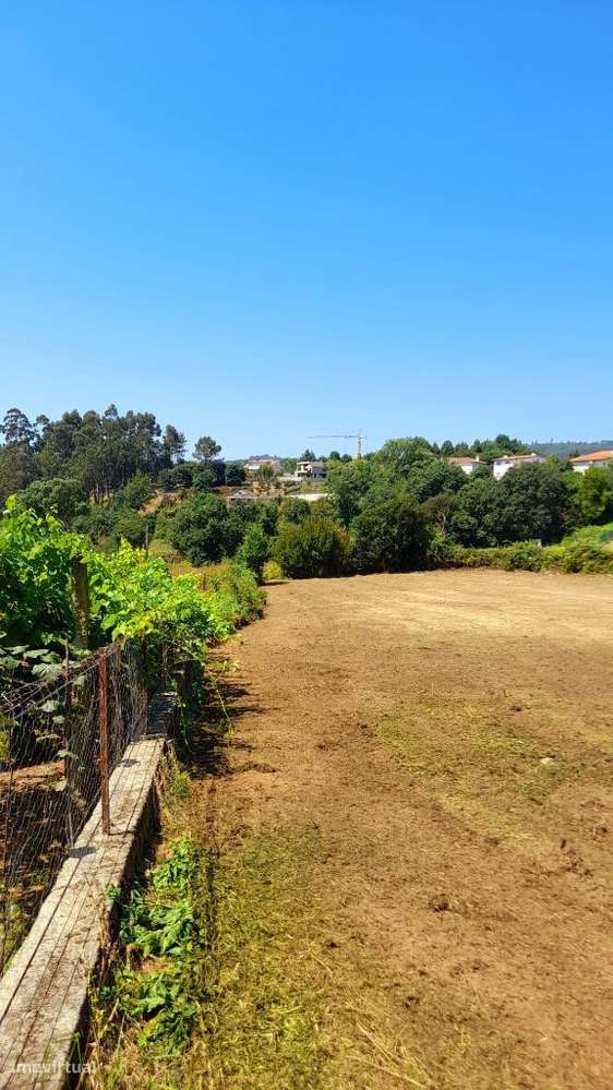 Terreno URBANO no centro da freguesia de Cervães - Grande imagem: 2/2