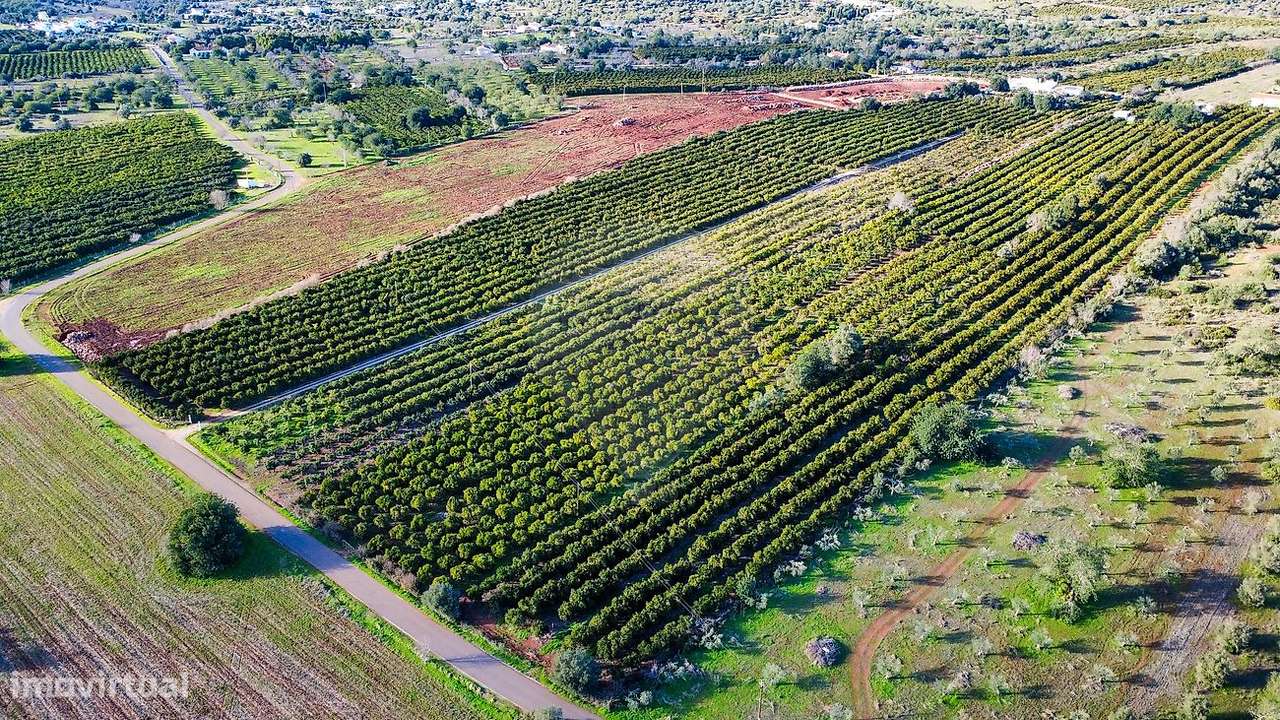 Terreno  para venda-6