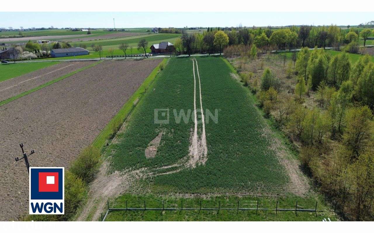 Działka, 2 826 m², Kodrąb-9