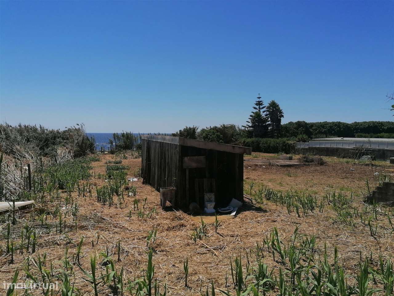 Terreno junto à Praia - Grande imagem: 5/36