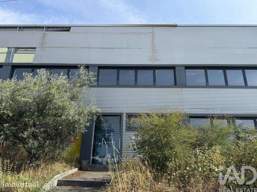 Loja / Estabelecimento Comercial em Constantim e Vale de Nogueiras de - Grande imagem: 5/30