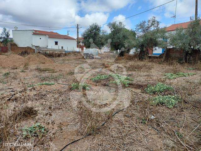 Ruina com Terreno no Perimetro Urbano 1460 m2-17