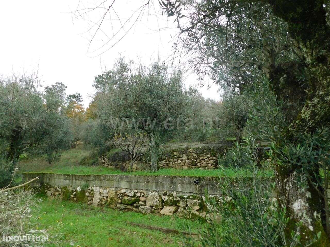 Terreno para Construção / Seia, Pinhanços - Grande imagem: 4/20