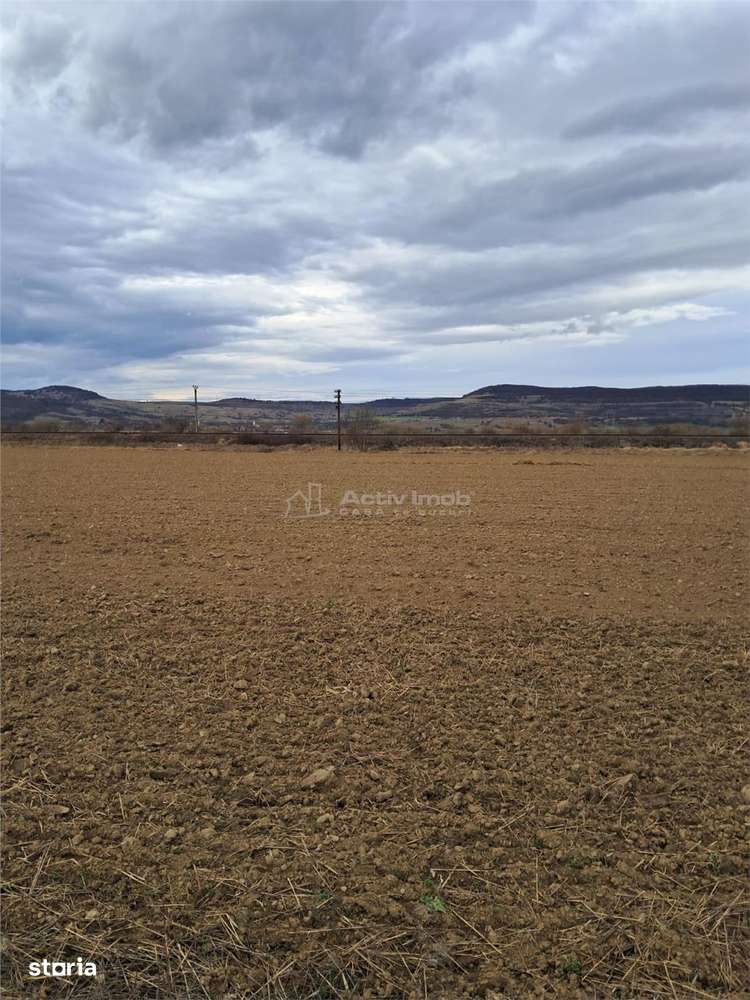 Teren 5000 mp langa E68 - Imagine principală: 3/8