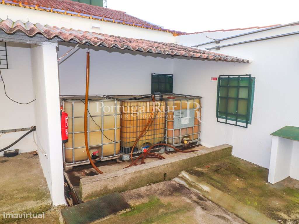 Unidade Industrial de Produção de Azeite & Elevado Potencial Produtivo-37