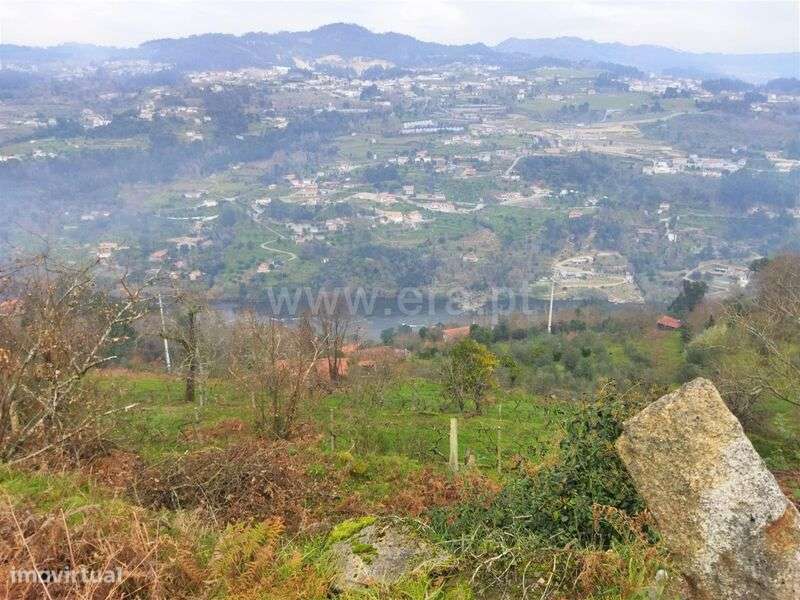 Terreno / Cinfães, Espadanedo - Grande imagem: 2/13