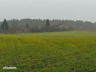 Pojezierze Brodnickie, gospodarstwo rolne - Pełny obrazek: 4/20