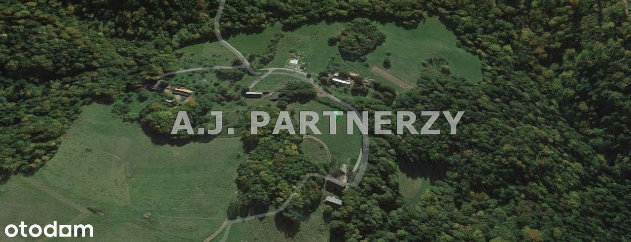 Działka w otoczeniu lasu z widokiem na góry-1