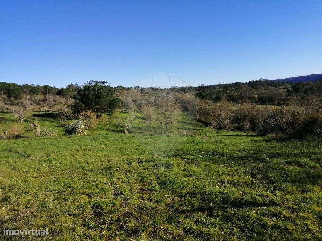 Terreno  para venda - Grande imagem: 4/6