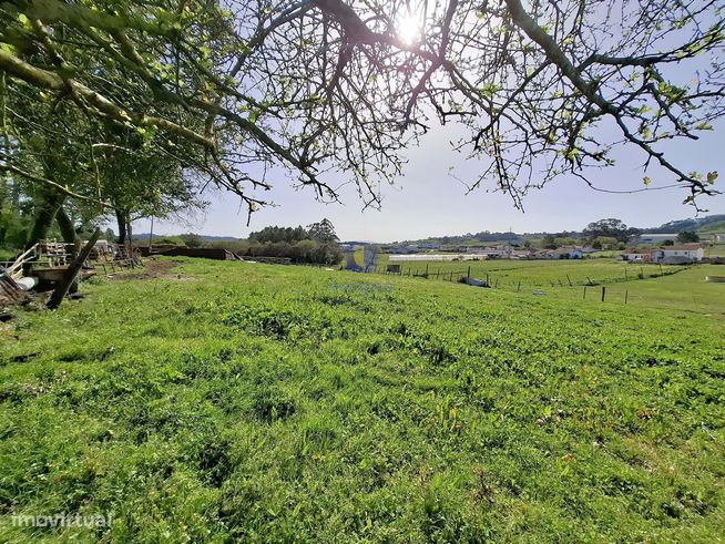 Terreno urbano com 15.867 m2 em Cela, Alcobaça,  e ruína de 336,30 m2-4