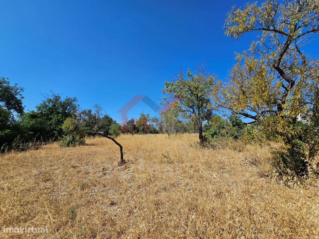 Moradia tradicional V5 para recuperar com terreno de 31.000 m2 - Loulé-8