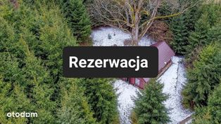 Działka z domem w lesie w górach Bystrzyca Kłodzka